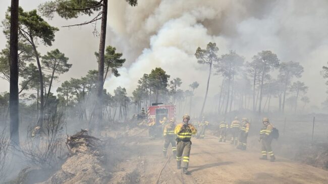 Más de medio centenar de medios participan en la extinción de un incendio en Ávila