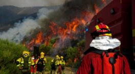 Castilla y León lucha contra 29 incendios en Sanabria, Picos de Europa y Salamanca