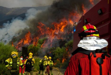 El 72% de la superficie forestal en España es privada y la mayoría no está asegurada