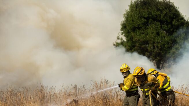 Activos varios incendios de gravedad uno y dos en León, Ávila, Zamora y Palencia