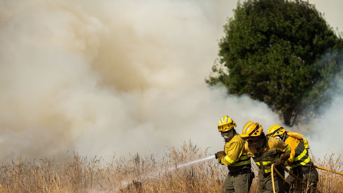 Activos varios incendios de gravedad uno y dos en León, Ávila, Zamora y Palencia