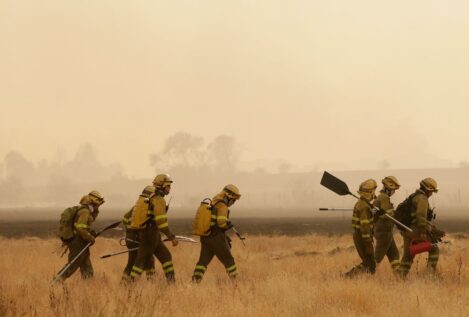 El incendio de Molezuelas (Zamora) se convierte en el peor de la historia de España