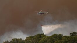 Los cambios de viento dificultan la extinción del incendio de Tarifa (Cádiz)