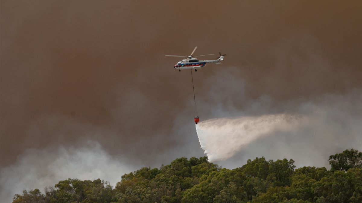 Los cambios de viento dificultan la extinción del incendio de Tarifa (Cádiz)