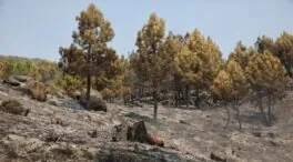 Castilla y León está en situación de alerta por riesgo de incendios forestales