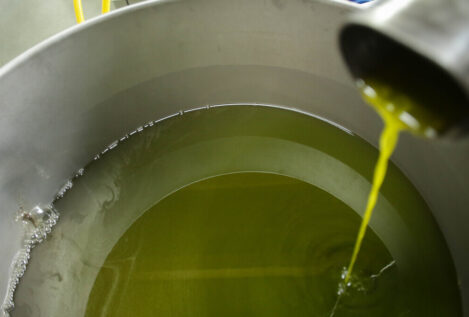 Dcoop descarta que el Gobierno aplique la retirada de aceite de oliva en esta cosecha