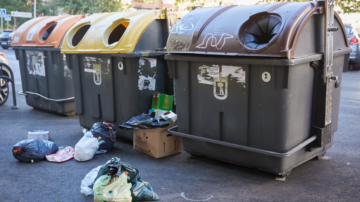 España redujo el desperdicio de alimentos un 4,4% en 2024, hasta los 1.125 millones de kilos