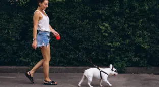 El verano, un enemigo feroz para la salud de las patas de tu perro: cómo cuidar sus almohadillas