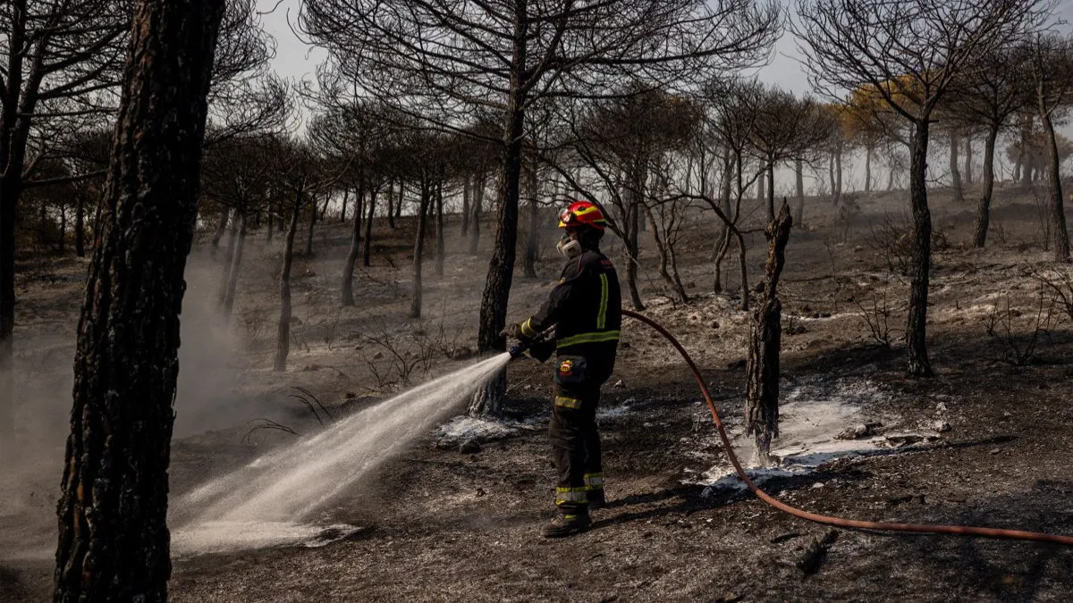 Ya hay 32 detenidos relacionados con los incendios forestales de este verano en España