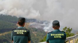 Suben a 41 los detenidos por incendios forestales y a 127 los investigados