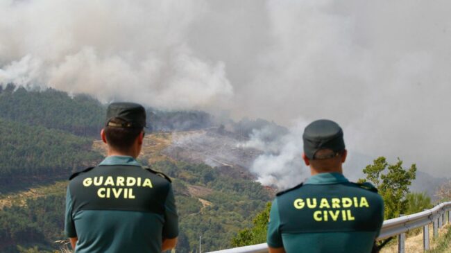 Suben a 41 los detenidos por incendios forestales y a 127 los investigados