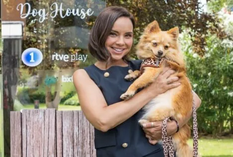 Dog House, más perros y menos hijos de perra
