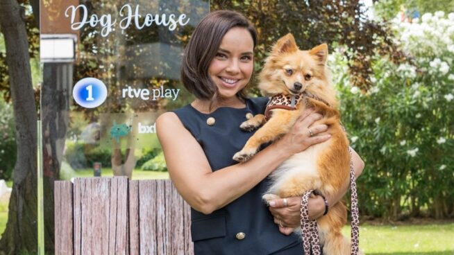 Dog House, más perros y menos hijos de perra