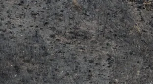 Extinguidos los tres incendios más grandes de la historia de Galicia, libre ya del fuego