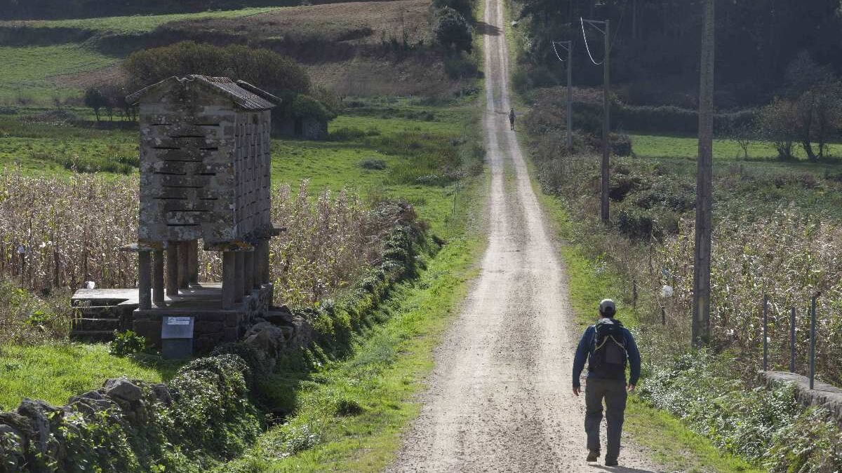 El ‘boom’ hipotecario se extiende también a las fincas con un 31% más de operaciones