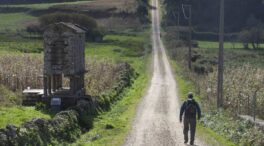 El 'boom' hipotecario se extiende también a las fincas con un 31% más de operaciones