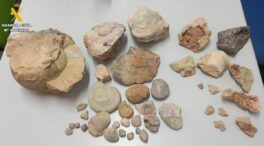 La Guardia Civil impide un expolio de patrimonio geológico en Villar del Cobo (Teruel)
