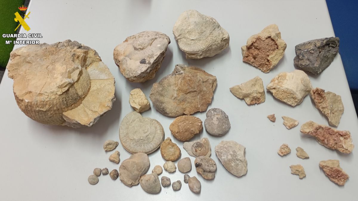 La Guardia Civil impide un expolio de patrimonio geológico en Villar del Cobo (Teruel)