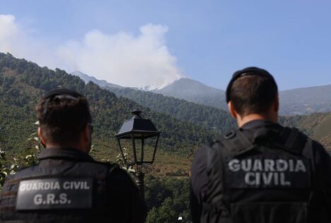 Se elevan a 45 los detenidos por los incendios forestales y a 133 los investigados
