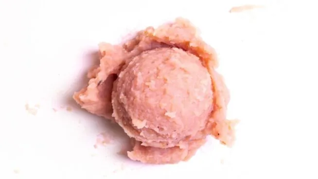 Helado casero saludable: mi receta natural para refrescarte sin ganar peso