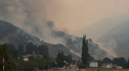 La dramática cifra de los incendios en España en 2025: casi 350.000 hectáreas quemadas