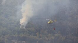 El autor del incendio de Ávila en julio lo provocó por interés laboral al trabajar en extinción