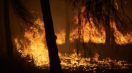 Interior declara la fase de preemergencia del plan estatal ante los numerosos incendios