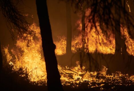 Interior declara la fase de preemergencia del plan estatal ante los numerosos incendios