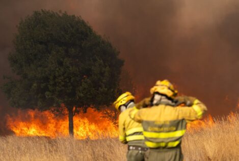 Castilla y León pide ayuda a Galicia ante los graves incendios que registra la comunidad
