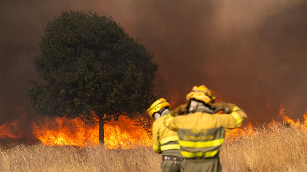 Castilla y León pide ayuda a Galicia ante los graves incendios que registra la comunidad