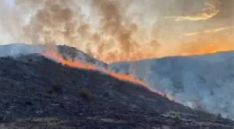 Declarado el nivel uno forestal por el incendio en Valdeperillo (La Rioja)