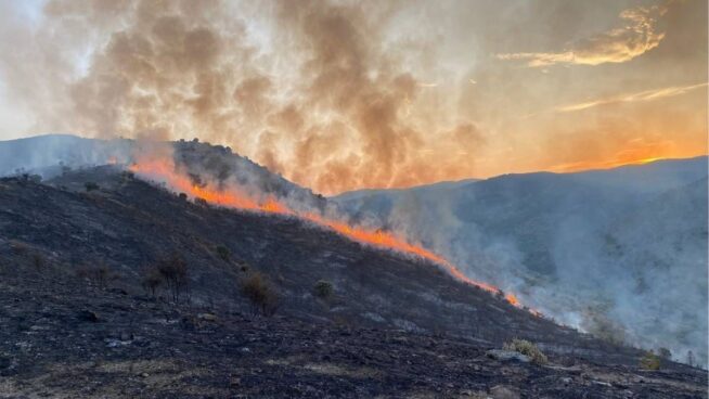 Declarado el nivel uno forestal por el incendio en Valdeperillo (La Rioja)