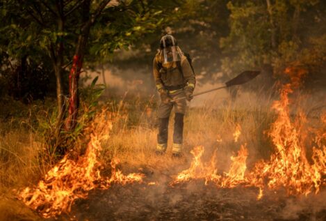 La Fiscalía investiga si los municipios afectados por los incendios tienen planes de prevención