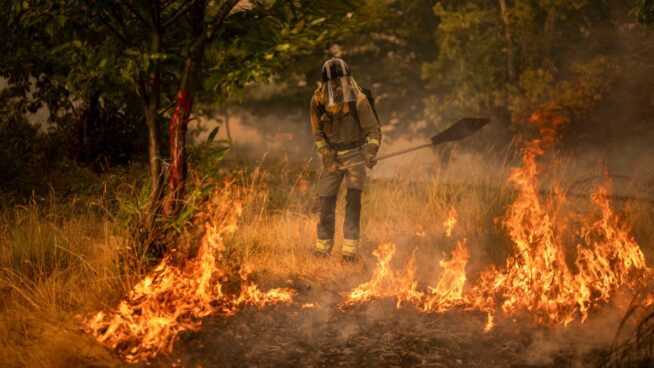 La Fiscalía investiga si los municipios afectados por los incendios tienen planes de prevención
