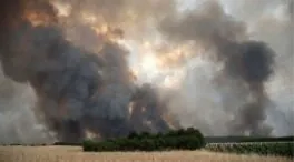 Un nuevo incendio grave en Pardesivil (León) amenaza masa forestal de hasta 30 hectáreas