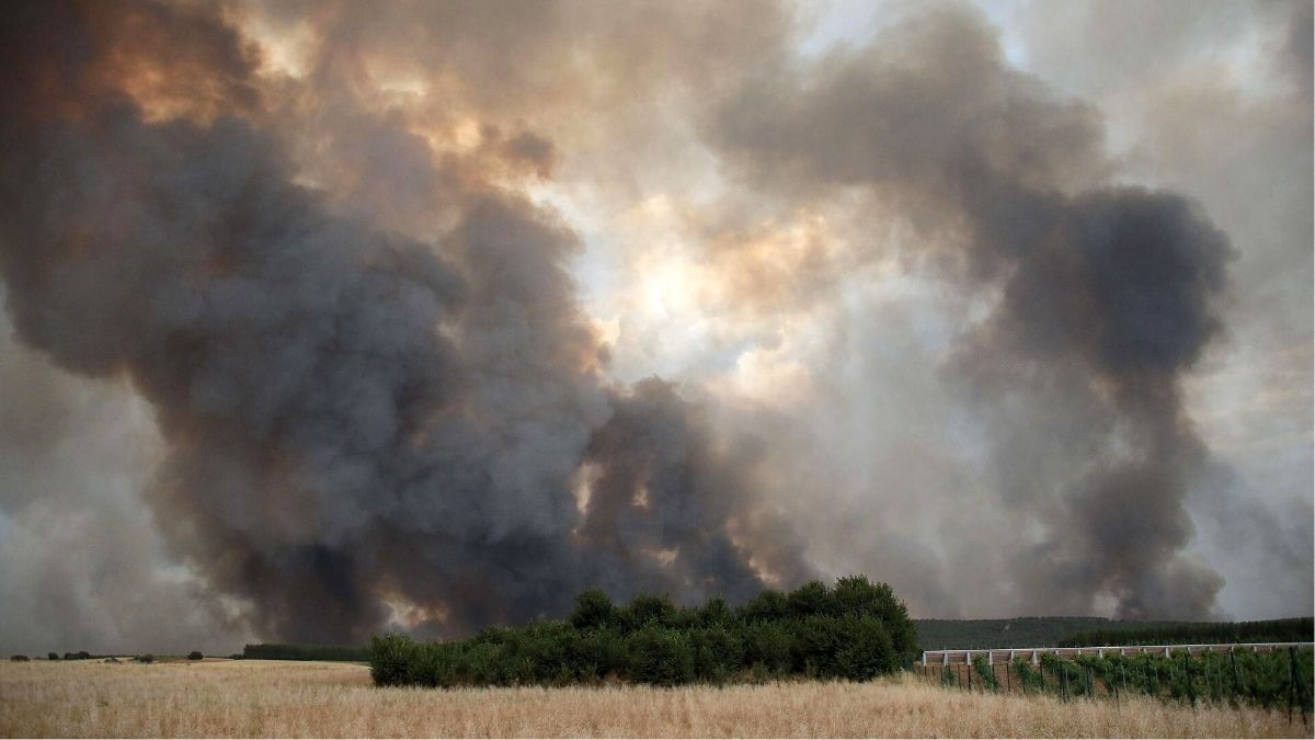 Un nuevo incendio grave en Pardesivil (León) amenaza masa forestal de hasta 30 hectáreas
