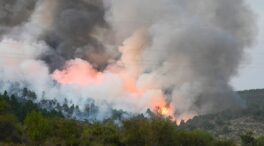 Dos de los seis incendios de máxima gravedad de Castilla y León llevan 19 días activos