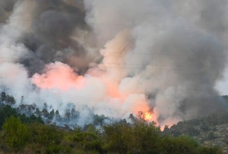 Dos de los seis incendios de máxima gravedad de Castilla y León llevan 19 días activos