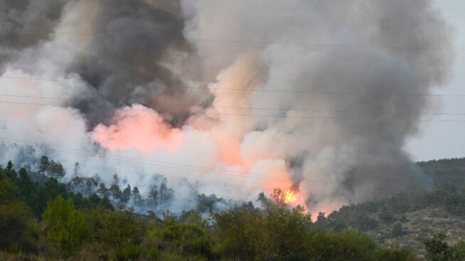 Dos de los seis incendios de máxima gravedad de Castilla y León llevan 19 días activos