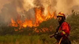 Muere un voluntario mientras intentaba apagar uno de los incendios de León