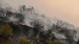 Un incendio obliga a evacuar Cardaño de Arriba (Palencia) por segunda vez en tres días