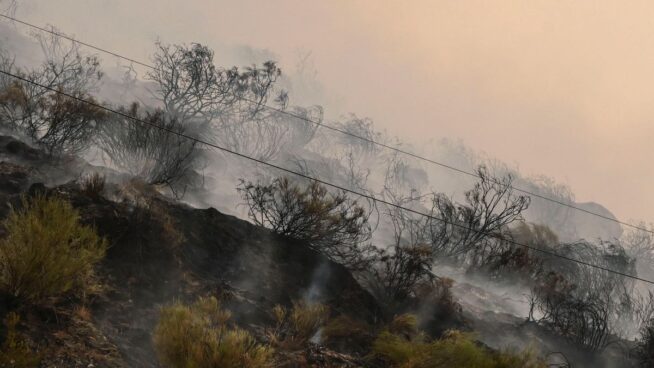 Un incendio obliga a evacuar Cardaño de Arriba (Palencia) por segunda vez en tres días