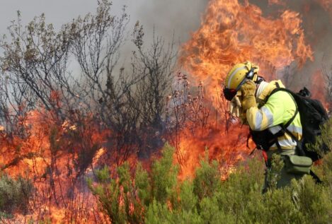 Seis heridos, dos de ellos en la UCI, por el incendio de Puercas (Zamora)