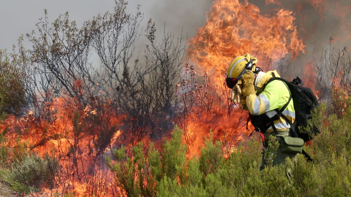 Seis heridos, dos de ellos en la UCI, por el incendio de Puercas (Zamora)