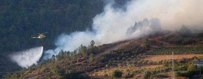 Los agricultores afectados por el fuego cobrarán su seguro aunque sea intencionado