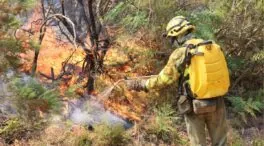 Así te hemos contado los incendios forestales en Galicia y Castilla y León