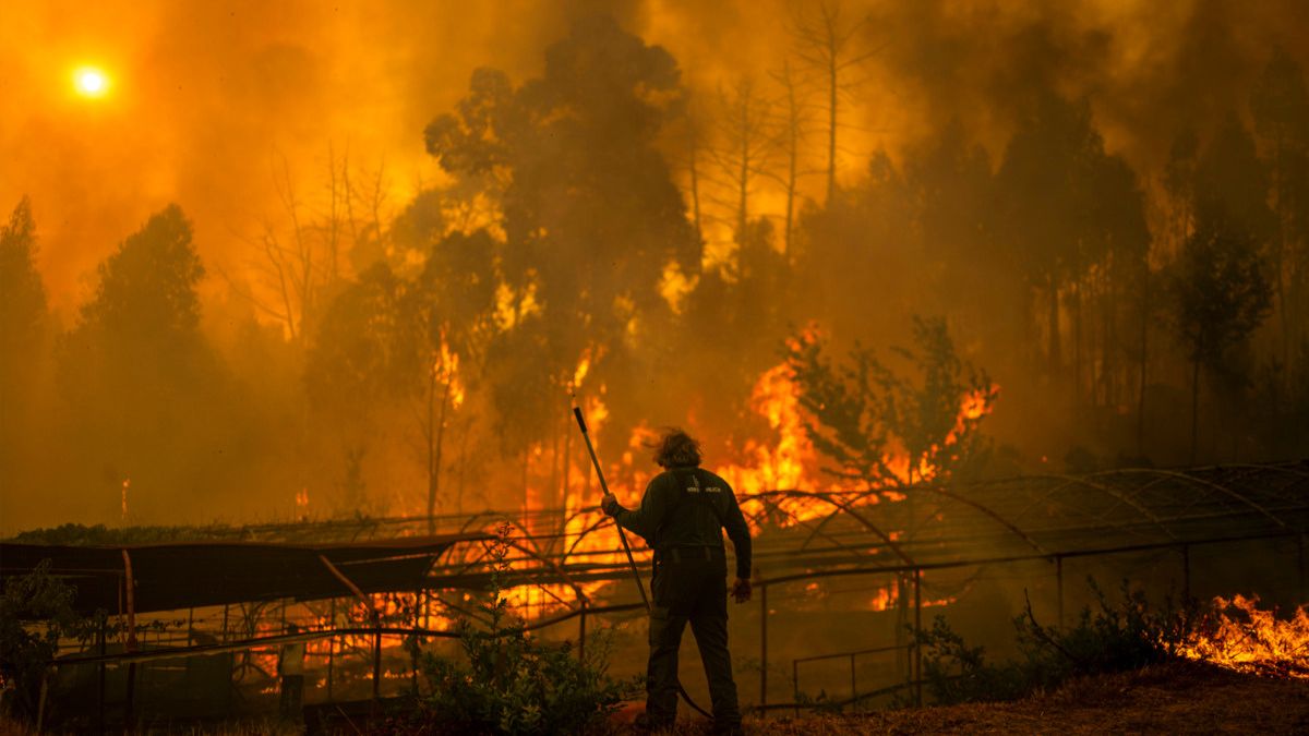 Así ha transcurrido la jornada en la que una ola de incendios continúa asolando España