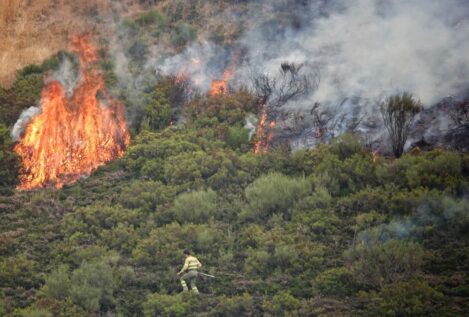Los incendios se reducen a 18 y dejan más de 360.000 hectáreas quemadas este agosto