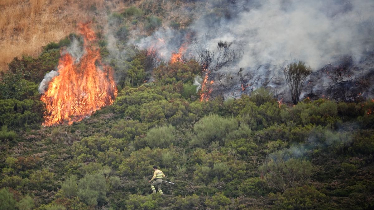 Los incendios se reducen a 18 y dejan más de 360.000 hectáreas quemadas este agosto