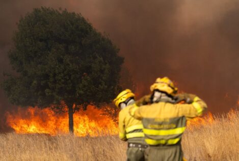 Guardias civiles denuncian la «desarticulación» del Seprona en plena oleada de incendios